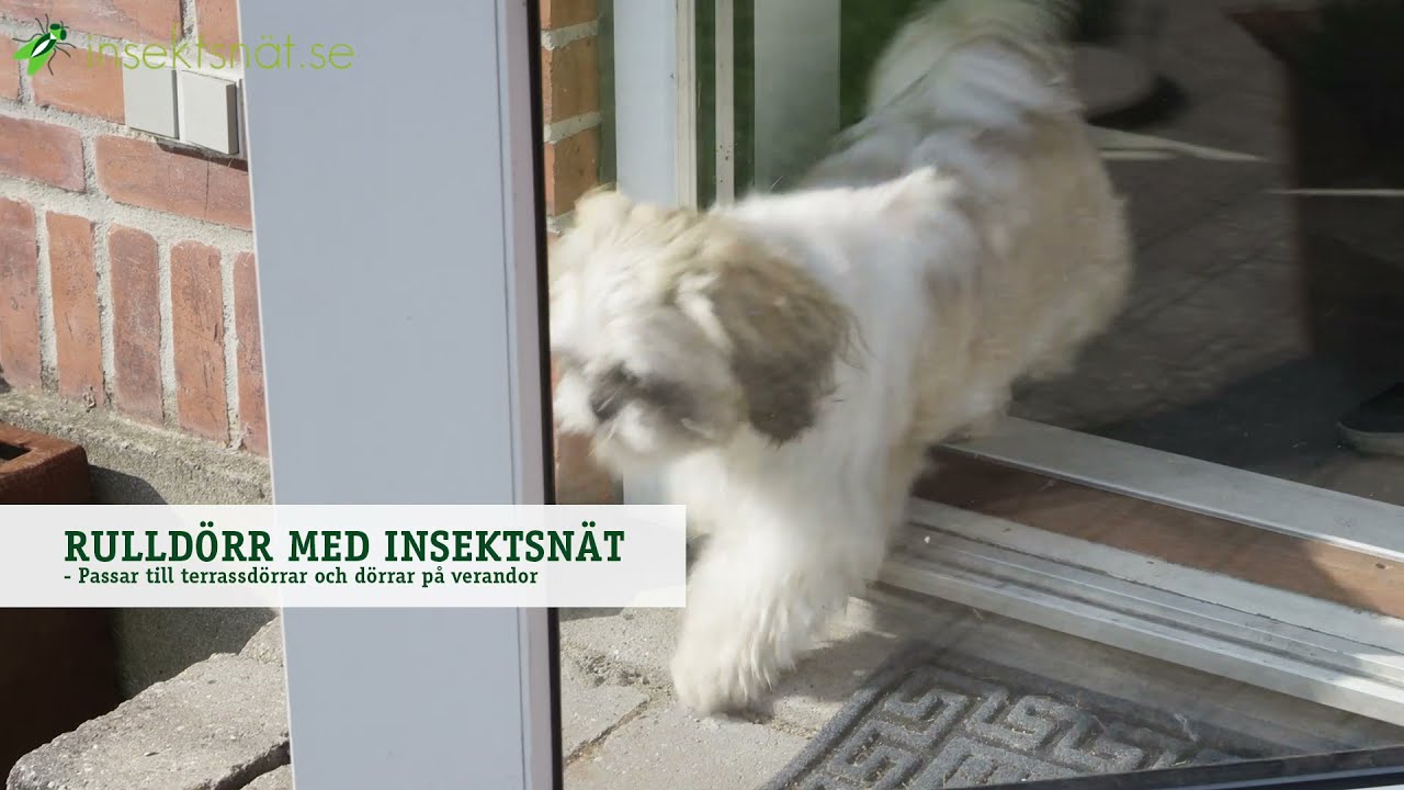 Insektsnät – rullnät till dörr